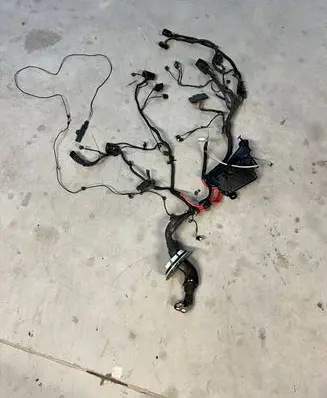 BMW X1 F48 F49 Other wiring loom