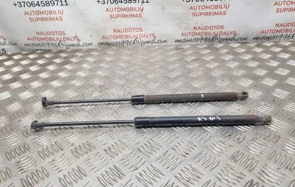 Tailgate/trunk strut/damper