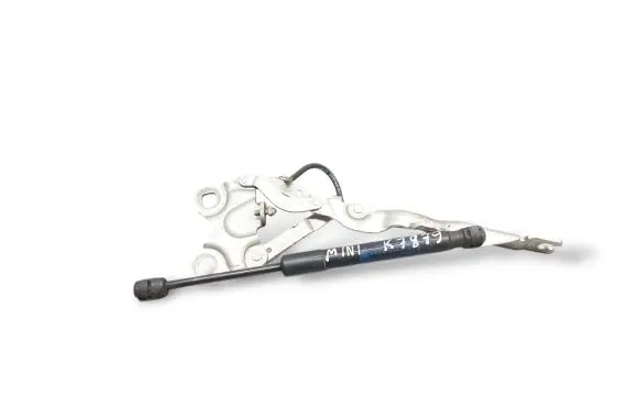 Mini Paceman (R61) Engine bonnet/hood hinges 9801570