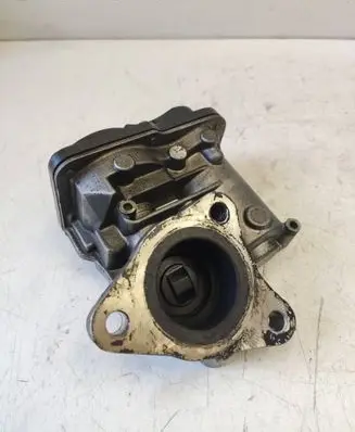 Renault Scenic III - Grand scenic III EGR valve 04Q120408 Q071011682