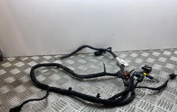 Volkswagen Golf VIII Other wiring loom 5WA971230ET
