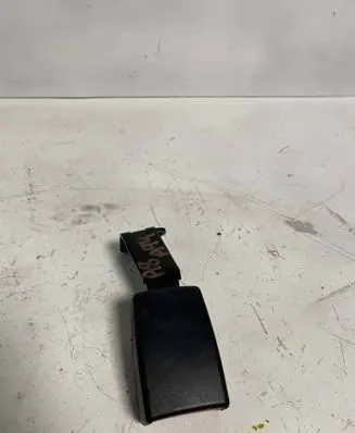Rear seatbelt buckle
