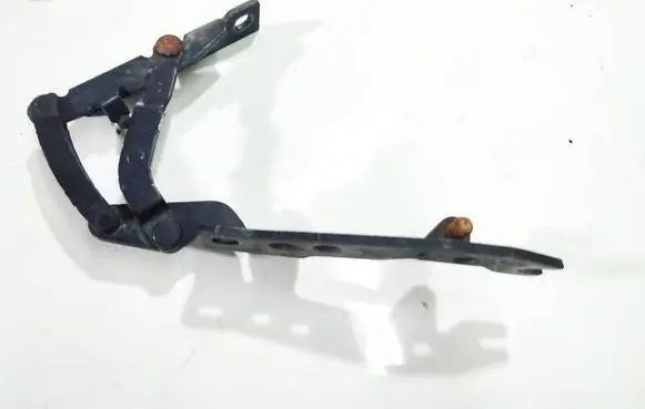 BMW X5 E53 Engine bonnet/hood hinges 8402174