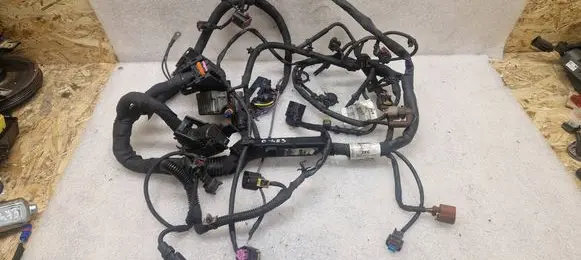 Engine installation wiring loom