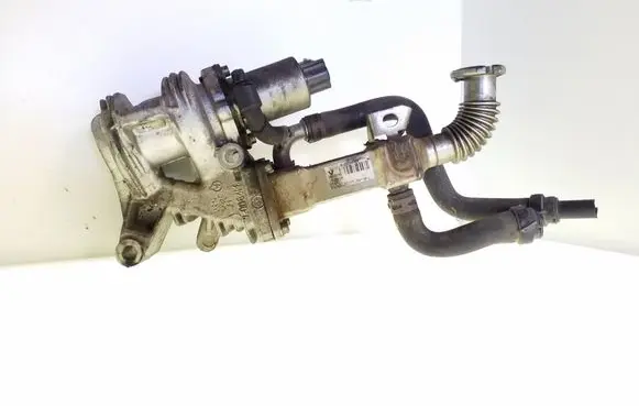 EGR valve