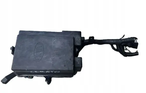 KIA Cerato Fuse box set 919552F040