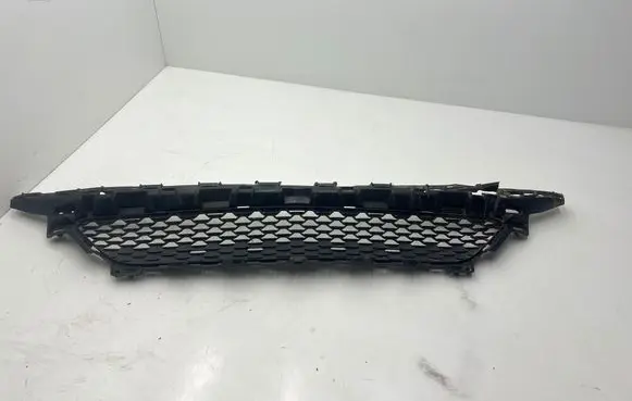 Front bumper lower grill
