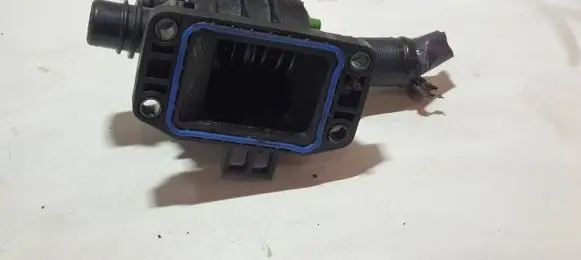 Thermostat/thermostat housing