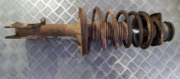 Fiat Doblo Front shock absorber/damper 51756353