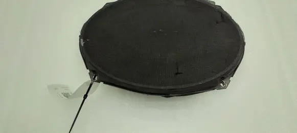Chrysler Grand Voyager IV Front door speaker 05081669AA