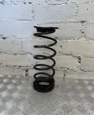Hyundai i20 (PB PBT) Rear coil spring