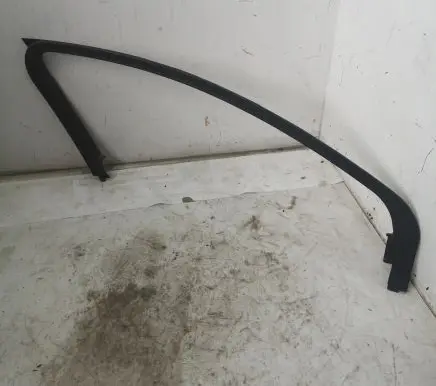 Ford Fusion II Front door glass trim molding DS73F201A19