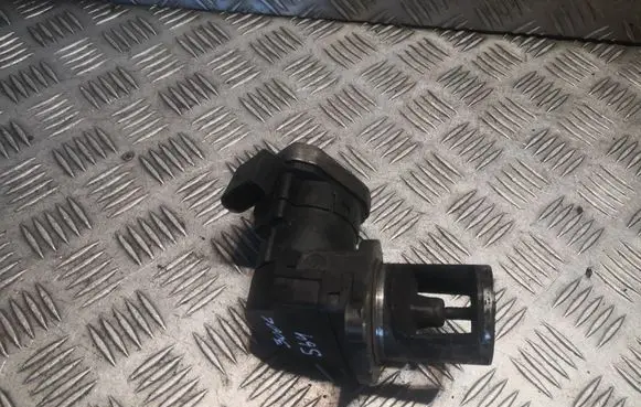 EGR valve