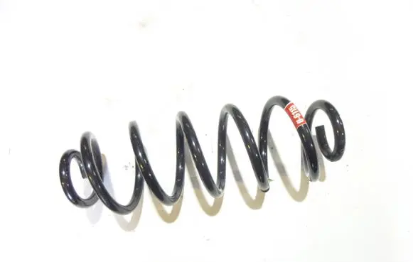 Rear coil spring