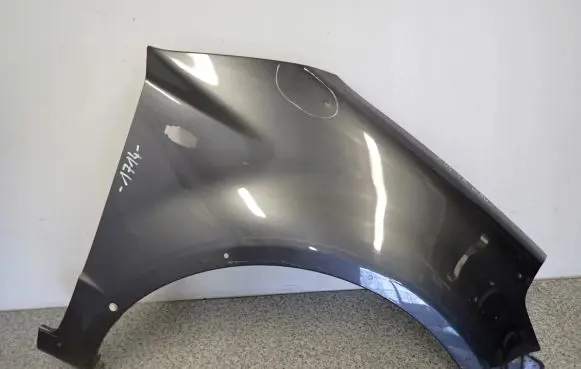 Suzuki SX4 Fender