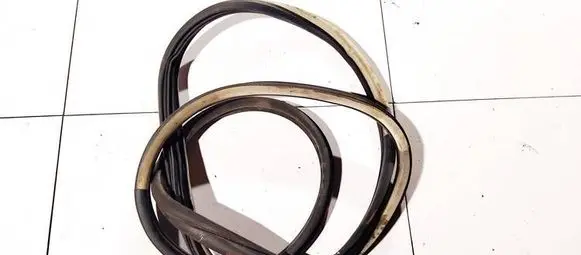 Citroen C4 Grand Picasso Rubber seal front coupe door 