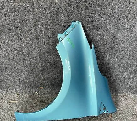 Renault Zoe Fender