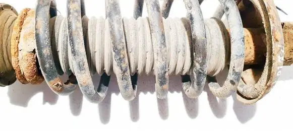 Front coil spring