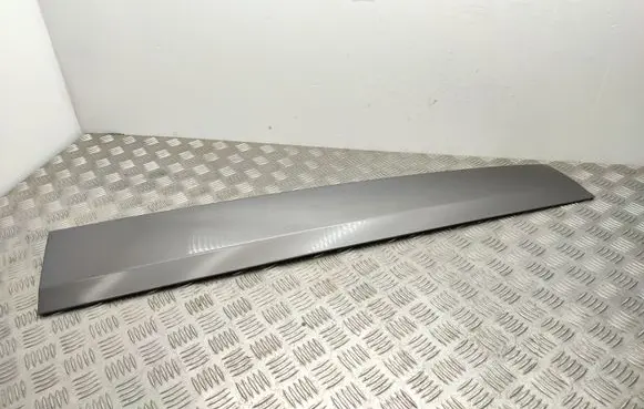 Renault Scenic II - Grand scenic II Front door trim (molding) 808770011R