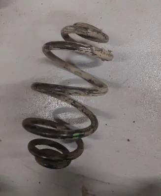 Volkswagen PASSAT B5.5 Rear coil spring
