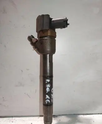 Hyundai i30 Fuel injector 0445110256