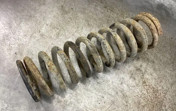 Rear coil spring