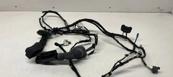 BMW 3 F30 F35 F31 Front door wiring loom 9286219