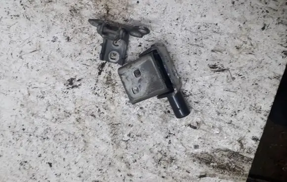 Renault Clio III Front door hinge set 