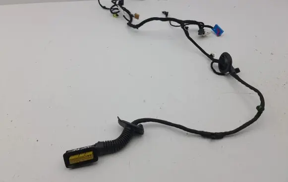 Front door wiring loom