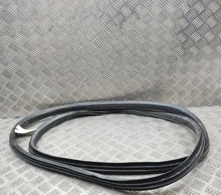 Fiat 500E Rubber seal front door (on door)