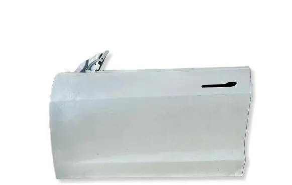 Tesla Model 3 Front door 1081421E0C