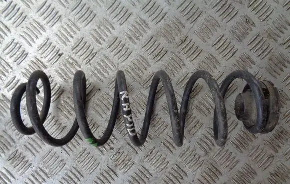 Rear coil spring