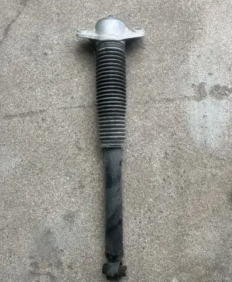 KIA Sportage Rear shock absorber/damper 55300R2000