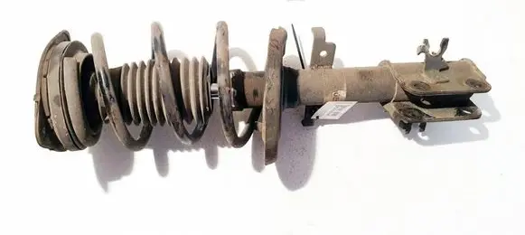 Renault Laguna III Front shock absorber/damper