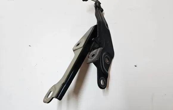 Ford Mustang VI Engine bonnet/hood hinges FR3B16801AE