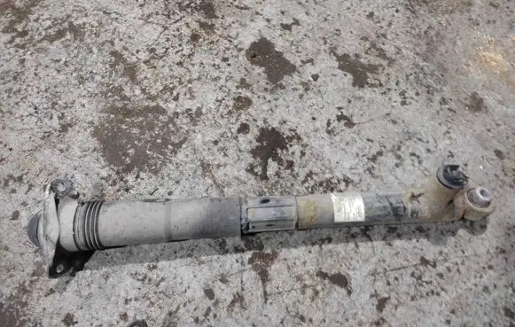 Rear shock absorber/damper
