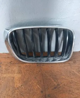 BMW X3 F25 Front grill 7338572