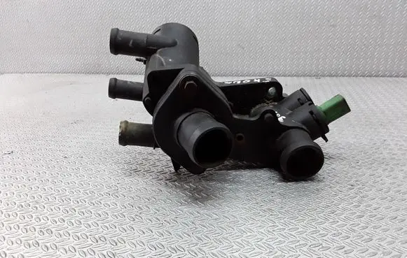 Thermostat/thermostat housing