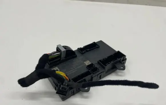 BMW iX Door control unit/module 5A6BEE601 18490510