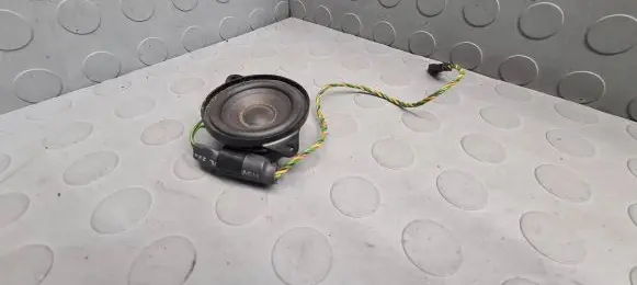 BMW X5 E53 Panel speaker 8379375