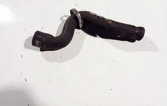 Citroen Berlingo Engine coolant pipe/hose