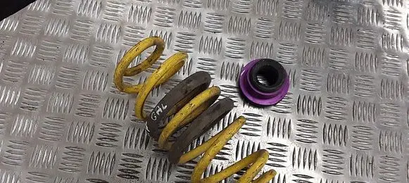 Nissan Juke I F15 Rear coil spring