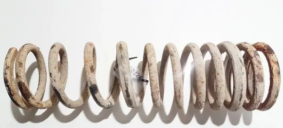 Ford Focus Rear coil spring