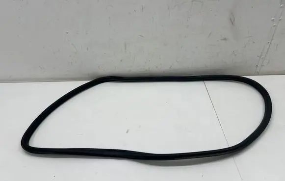 Mini Clubman F54 Rear door rubber seal (on body) 7344161