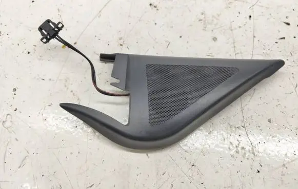 Front door high frequency speaker