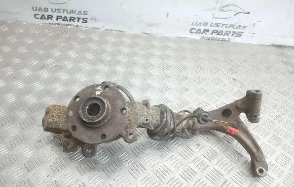 Volkswagen PASSAT B5.5 Front wheel hub spindle knuckle