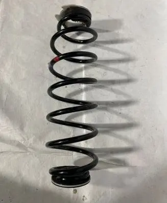 Opel Corsa F Rear coil spring 9829870880