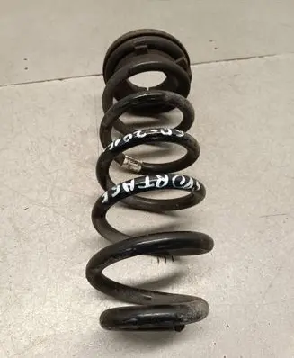 Rear coil spring