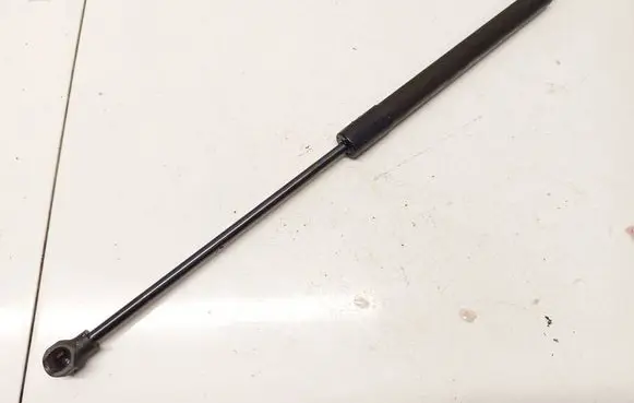 Dacia Sandero Tailgate/trunk strut/damper 904529943R