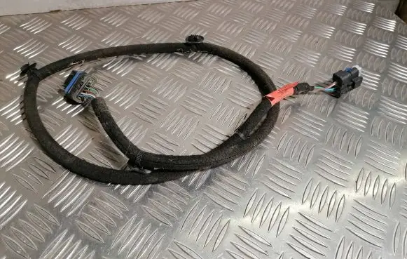 Renault Trafic III (X82) Rear door wiring loom 93455620 241268768R